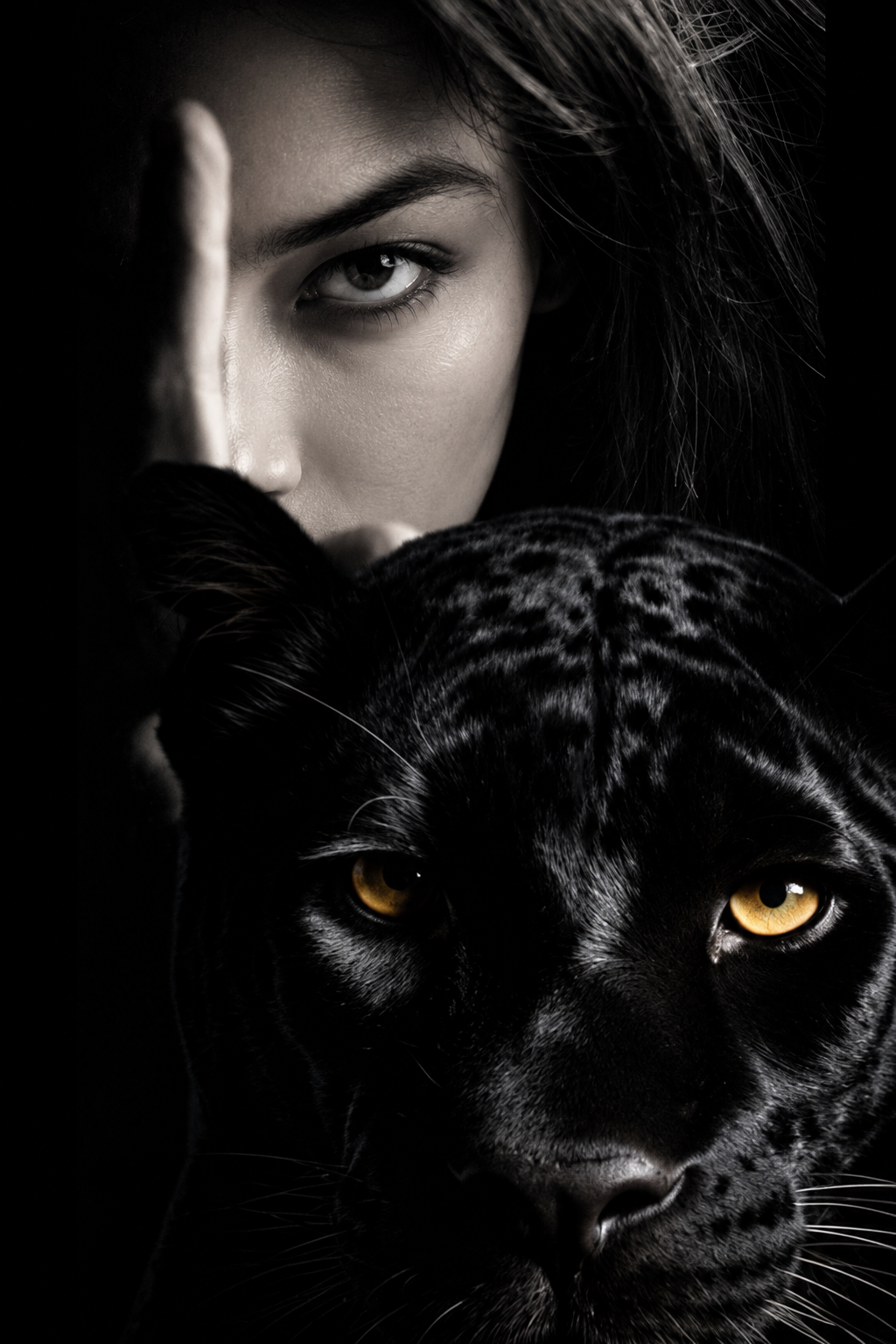 Predator’s Gaze